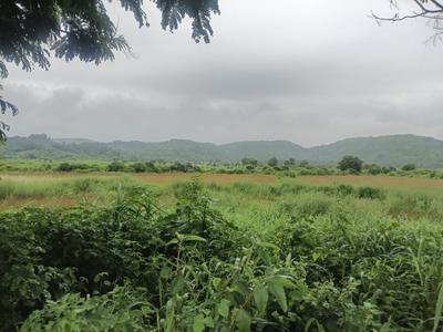 Image of 1089 Sq.ft Residential Plot / Land for sale in Invest Mahamumbai Plots in Pirkon, Pirkone, Navi Mumbai for Rs. 420000
