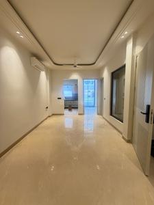 Hall Image of 1143 Sq.ft 3 BHK Builder Floor for sale in East Of Kailash New Delhi for Rs. 30000000