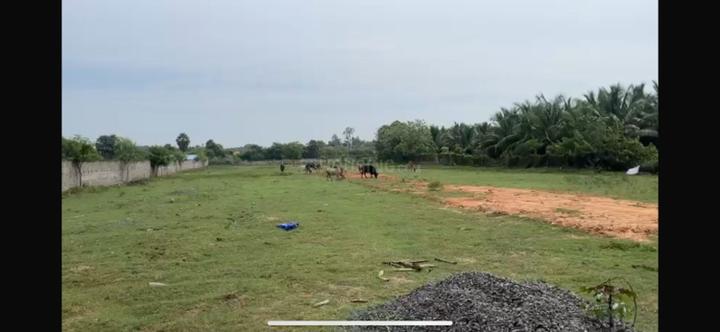 Vanur Main Image 1