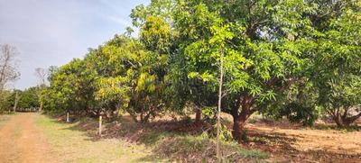 Image of 7000 Sq.ft Residential Plot / Land for sale in Vengal, Chennai for Rs. 2100000