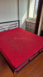 Bedroom Image of 650 Sq.ft 1 BHK Apartment / Flat for rent in Warje Pune for Rs. 25000