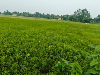 Image of 720 Sq.ft Residential Plot / Land for sale in Sonarpur, Kolkata for Rs. 199999