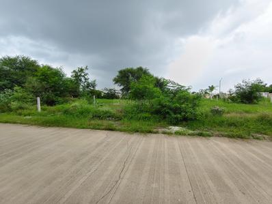 Residential Plot
