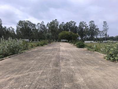 Image of 1500 Sq.ft Residential Plot / Land for sale in Hoskote, Bengaluru for Rs. 4275000