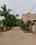 LIG Plot View 2