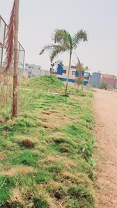 Image of 1000 Sq.ft Residential Plot / Land for sale in Swastik Rosebey Greens Extention, Labhandih, Raipur for Rs. 2851000