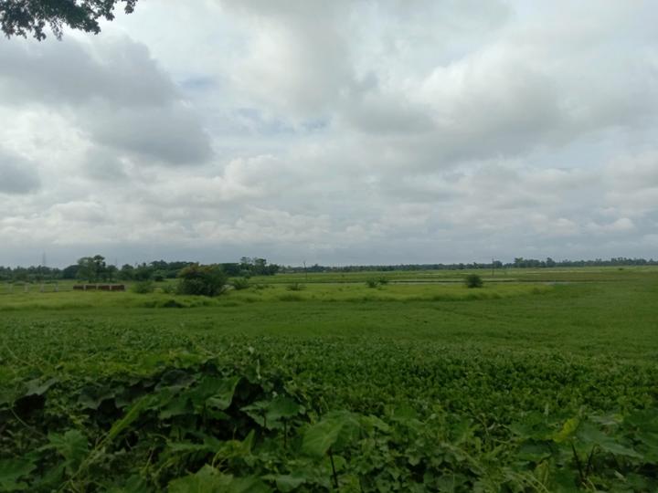 Residential plot Sonarpur Main Image 1
