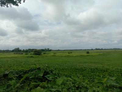 Residential plot Sonarpur Plot View 1