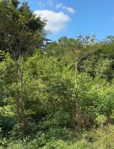 Image of 1950 Sq.ft Residential Plot / Land for sale in Nanda Ki Chowki, Dehradun for Rs. 8100000