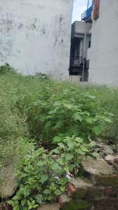 Image of 1242 Sq.ft Residential Plot / Land for sale in Sahastradhara Road, Dehradun for Rs. 8000000