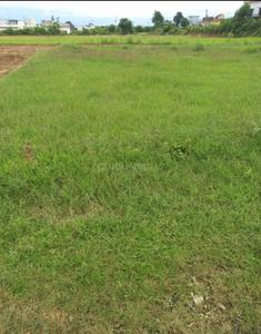 Badowala Plot View 2