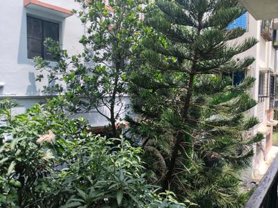Living Room Image of 1115 Sq.ft 3 BHK Apartment / Flat for sale in Purbalok Kolkata for Rs. 7000000