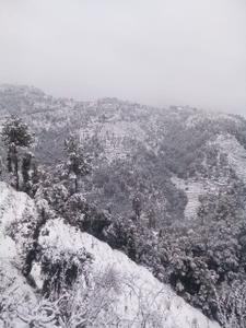 Image of 7560 Sq.ft 4.5 BHK Villa for sale in Mukteshwar, Nainital for Rs. 39000000
