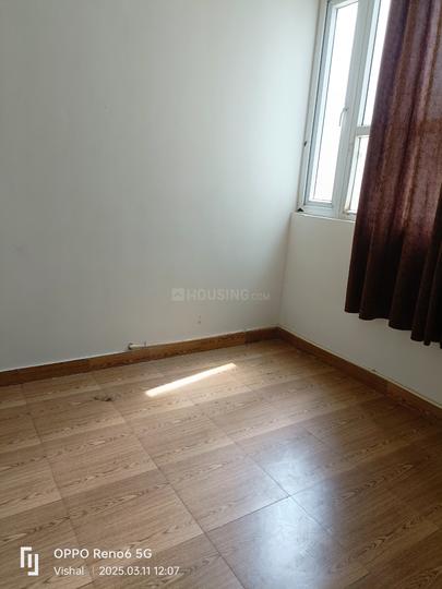 Tulip Lemon Main Image 1