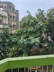Balcony Image of 1400 Sq.ft 3 BHK Apartment / Flat for sale in Hinoo Ranchi for Rs. 6200000