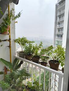 Balcony Image of 1300 Sq.ft 3 BHK Apartment / Flat for rent in Unitech Uniworld City, New Town Kolkata for Rs. 42000