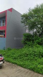 Phase 2 Plot View 2