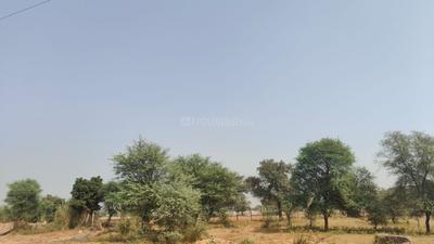 Image of 1098 Sq.ft Residential Plot / Land for sale in Jagatpura, Jaipur for Rs. 8540000