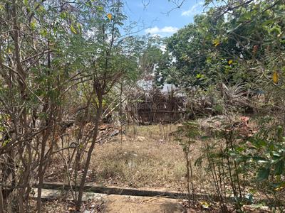 Kangeyampalyam Plot View 1