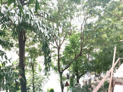 Living Room Image of 2380 Sq.ft 3 BHK Apartment / Flat for sale in Alipore Kolkata for Rs. 32500000