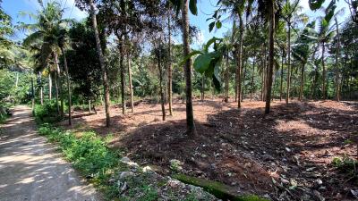 Image of 3000 Sq.ft Residential Plot / Land for sale in Sreekariyam, Thiruvananthapuram for Rs. 4500000