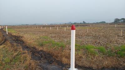 Image of 1089 Sq.ft Residential Plot / Land for sale in Pirkone, Navi Mumbai for Rs. 450000