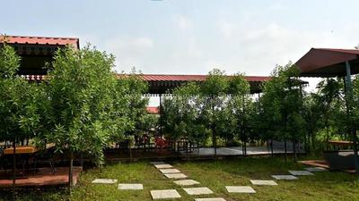 Strawberry resort  Plot View 4
