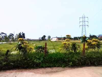 Image of 1000 Sq.ft Residential Plot / Land for sale in Tifra, Bilaspur for Rs. 795000