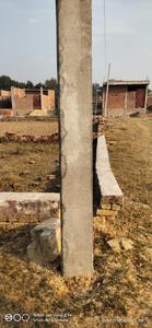 Panki More Images 2