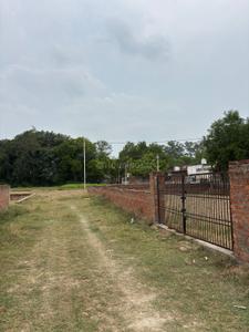 Babatpur Plot View 3