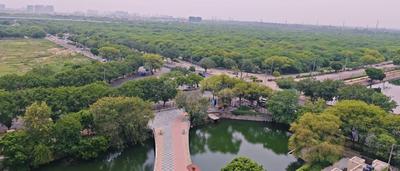 Balcony Image of 600 Sq.ft 1 BHK Apartment / Flat for rent in Vikram Golf View Condos, Sector 19 Dwarka New Delhi for Rs. 35000