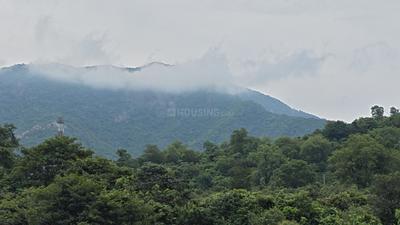 Image of 250 Sq.ft Residential Plot / Land for sale in Srungavarapu kota, Vizianagaram for Rs. 1500000