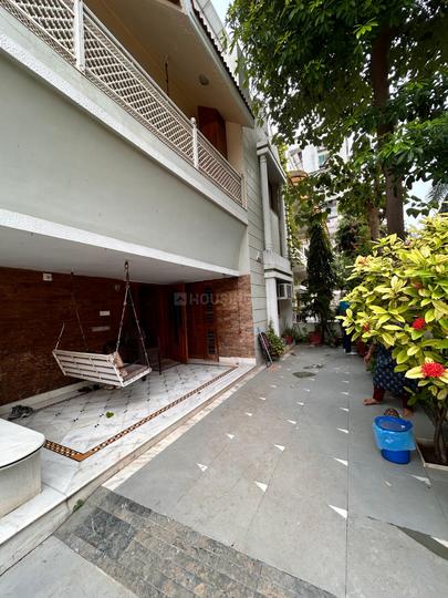 Yash Arain Main Image 1