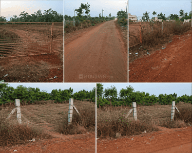Image of 15175 Sq.ft Residential Plot / Land for sale in Srinivaspur Rural, Kolar for Rs. 50000000