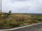 Bommasandra Industrial Area, Bommasandra Main Image 1