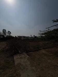 Image of 200 Sq.ft Residential Plot / Land for sale in Residential Authority Plots, Noida Extension, Greater Noida for Rs. 17000000