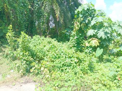 Image of 1450 Sq.ft Residential Plot / Land for sale in Budge Budge, Kolkata for Rs. 1550000