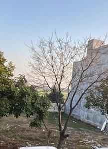 Image of 900 Sq.ft Residential Plot / Land for sale in Sector 77, Mohali for Rs. 21000000