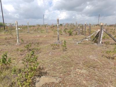 Image of 1140 Sq.ft Residential Plot / Land for sale in Lohegaon, Pune for Rs. 3605000