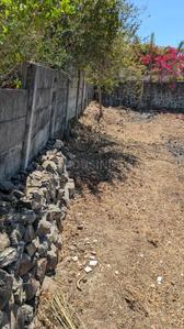 Lokmanya Colony Plot View 3