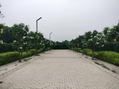 Image of 175 Sq.ft Residential Plot / Land for sale in Mansha Oaks, Sector 98, Faridabad for Rs. 19250000