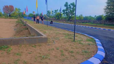 Boraj Plot View 3