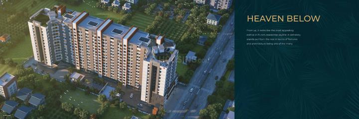 Dolphin Palms Main Image 1