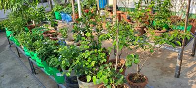 Image of 2000 Sq.ft 3 BHK Villa for sale in Madhyamgram, Kolkata for Rs. 10000000