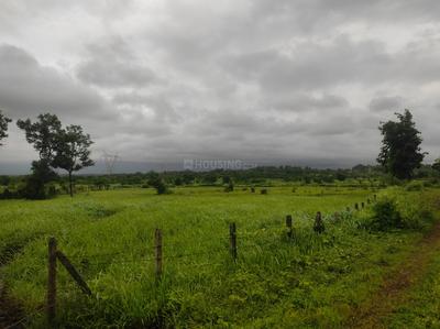 Image of 52272 Sq.ft Residential Plot / Land for sale in Murbad, Thane for Rs. 7440000