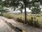 Devender Colony Plot View 1