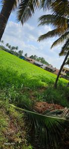 Image of 1500 Sq.ft Residential Plot / Land for sale in Bagalur, Bengaluru for Rs. 1600000