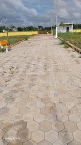 Image of 1250 Sq.ft Residential Plot / Land for sale in Dhauli, Bhubaneswar for Rs. 6200000