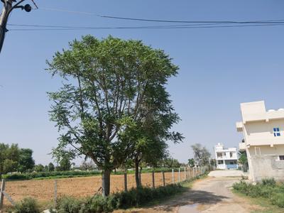 Image of 1500 Sq.ft 5 BHK Apartment / Flat for rent in Radhakishan Pura, Sikar for Rs. 15000