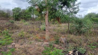 Image of 500 Sq.ft Residential Plot / Land for sale in Thimmaipally, Siddipet for Rs. 7500000